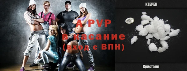 стаф Волосово
