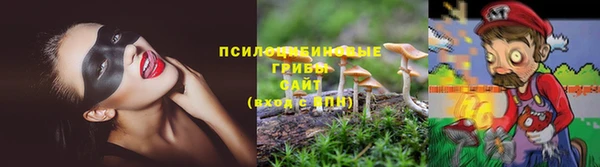 стаф Волосово