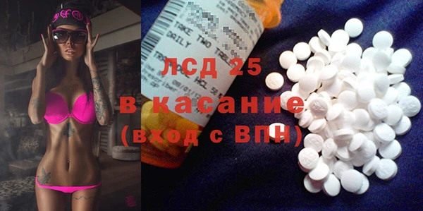 стаф Волосово