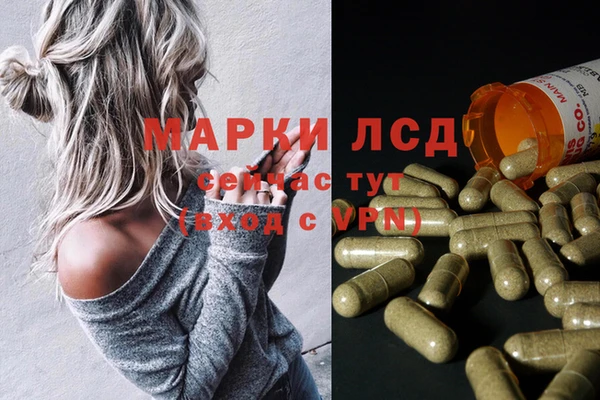 мяу мяу мука Вяземский