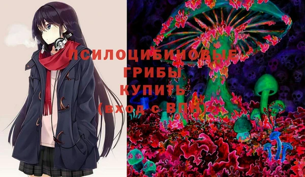 стаф Волосово